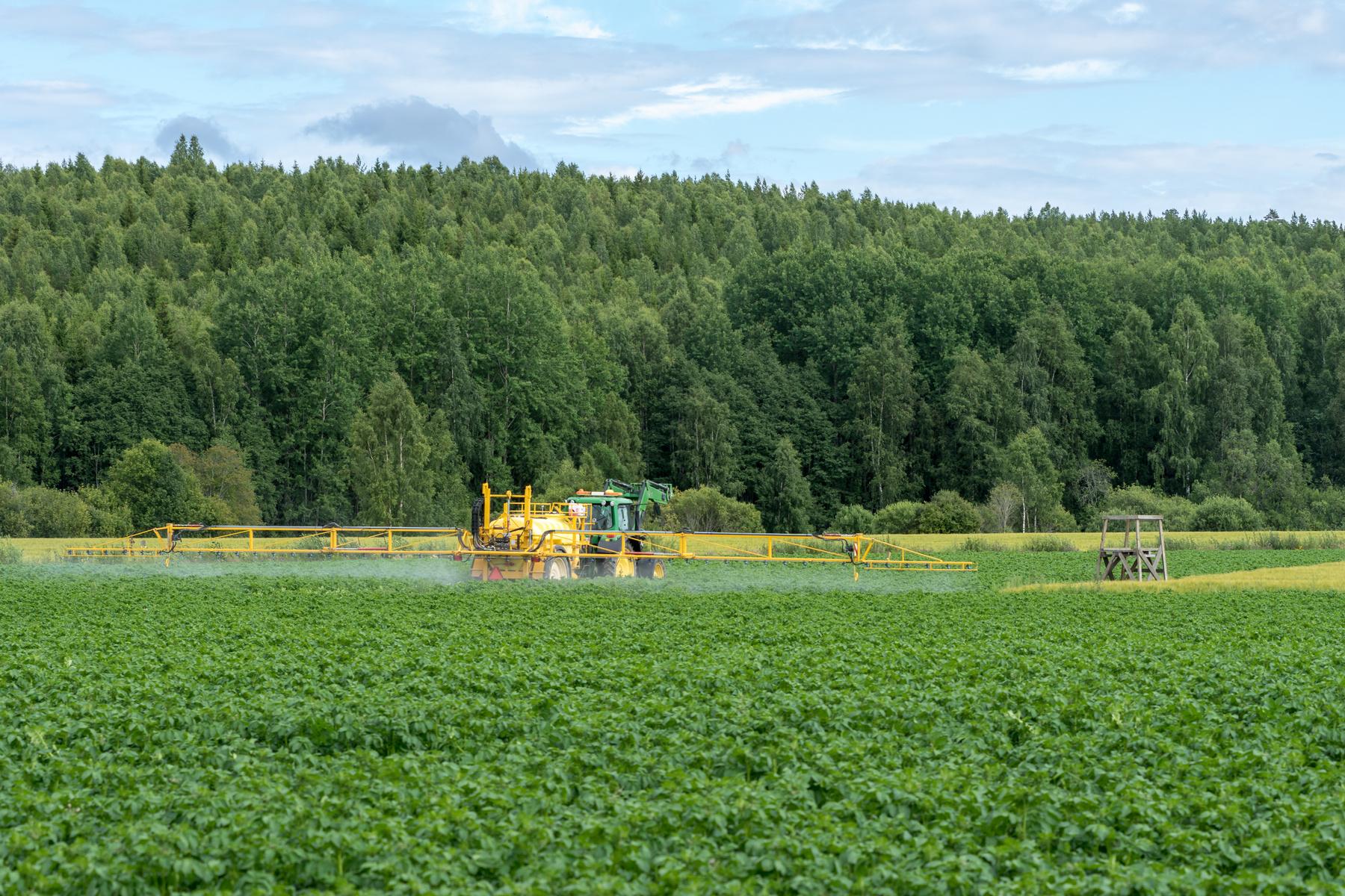 Grön och gul traktor på grönt fält
