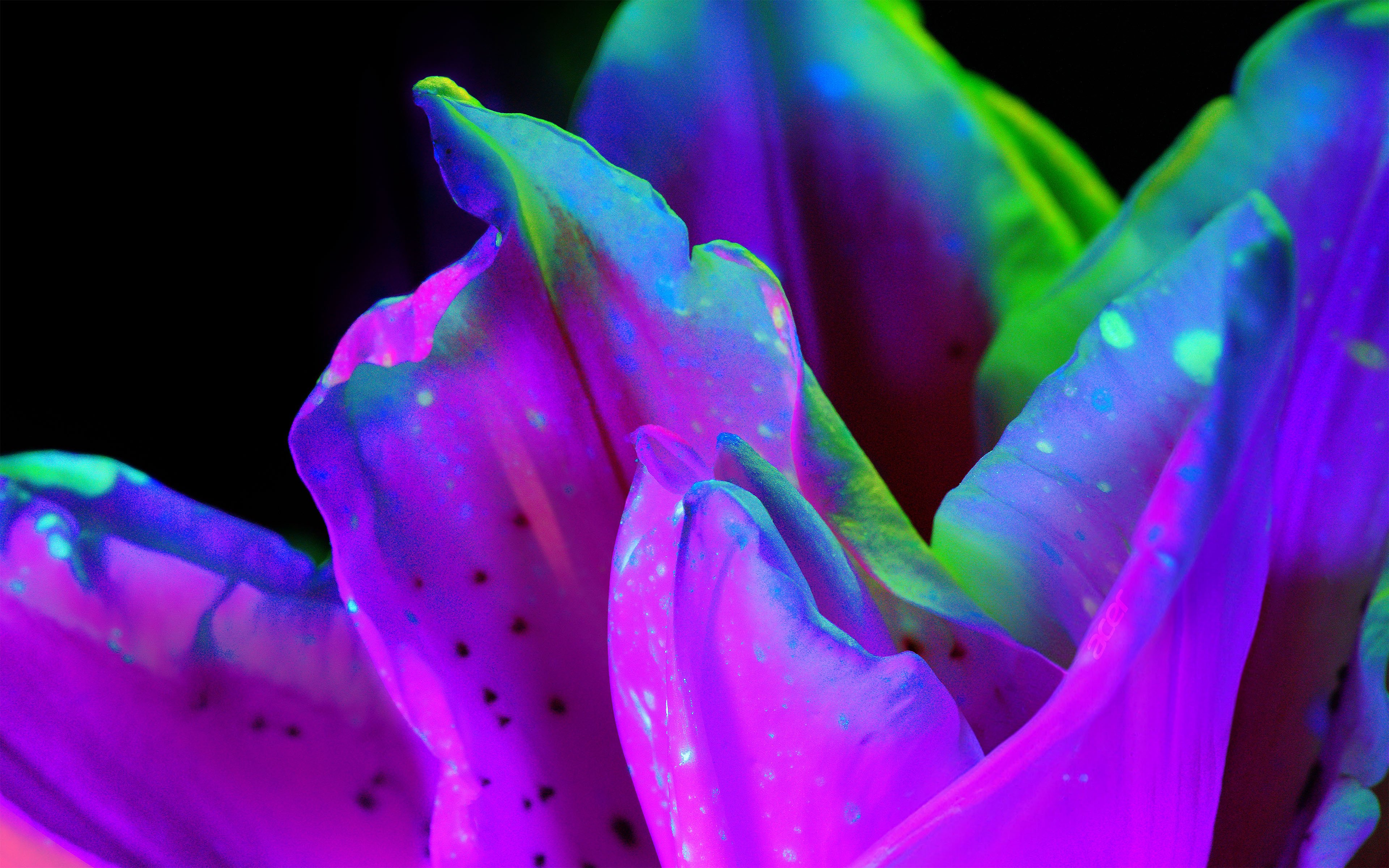 Test